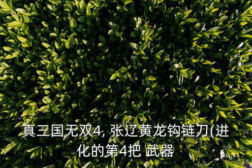 張遼武器,除了初始武將其他武將都需通過特定關卡才能使用