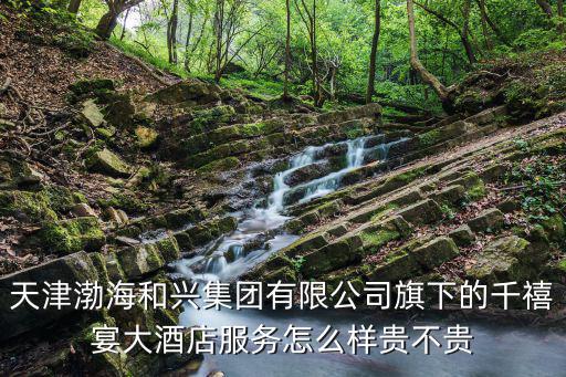 天津渤海和興集團(tuán)有限公司旗下的千禧宴大酒店服務(wù)怎么樣貴不貴