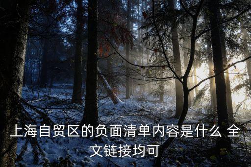 上海自貿區的負面清單內容是什么 全文鏈接均可