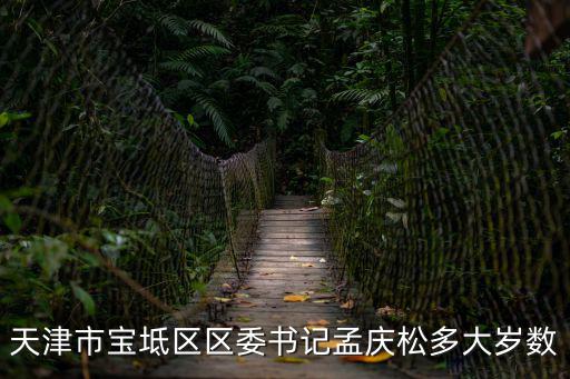 天津市寶坻區區委書記孟慶松多大歲數