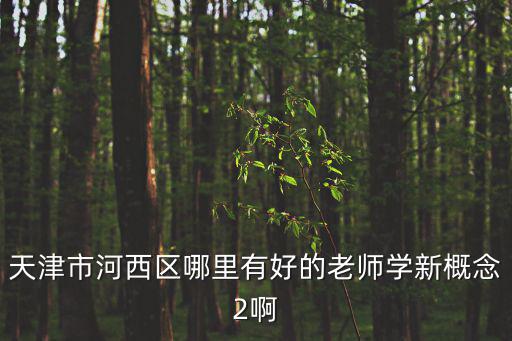 天津市河西區哪里有好的老師學新概念2啊