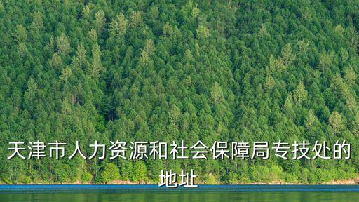 天津市人力資源和社會保障局專技處的地址