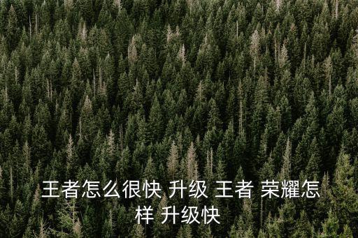 王者榮耀升級,分流位升級攻略:先升級基礎訓練再升級