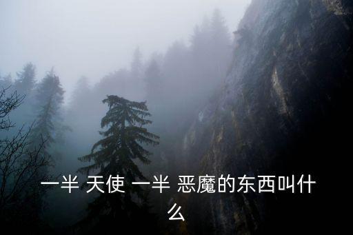  一半 天使 一半 惡魔的東西叫什么
