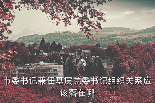 天津市委書記投票棄權，市委書記兼任基層黨委書記組織關系應該落在哪