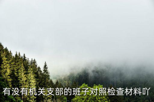 有沒有機關支部的班子對照檢查材料吖
