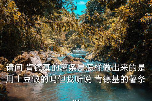 肯德基炸薯條,自制薯條做法pk肯德基1