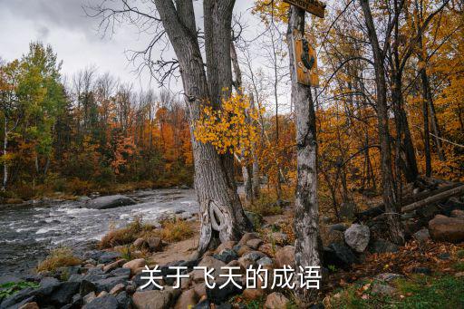 關于飛天的成語