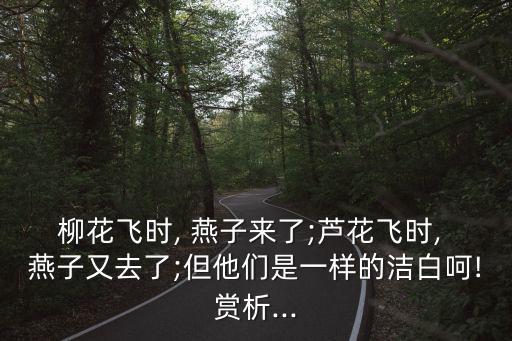 柳花飛時, 燕子來了;蘆花飛時, 燕子又去了;但他們是一樣的潔白呵!賞析...