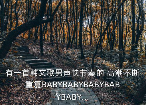 有一首韓文歌男聲快節奏的 高潮不斷重復BABYBABYBABYBABYBABY...