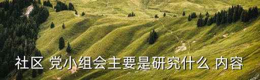 社區 黨小組會主要是研究什么 內容