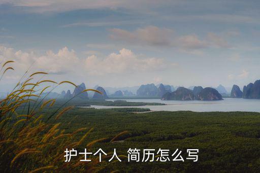  護(hù)士個(gè)人 簡(jiǎn)歷怎么寫