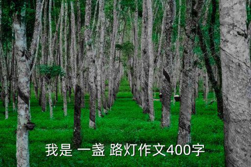 我是 一盞 路燈作文400字