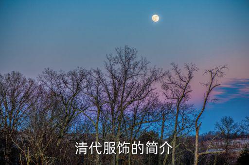 清代服飾的簡介