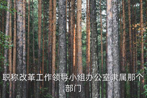 職稱改革工作領(lǐng)導(dǎo)小組辦公室隸屬那個(gè)部門(mén)