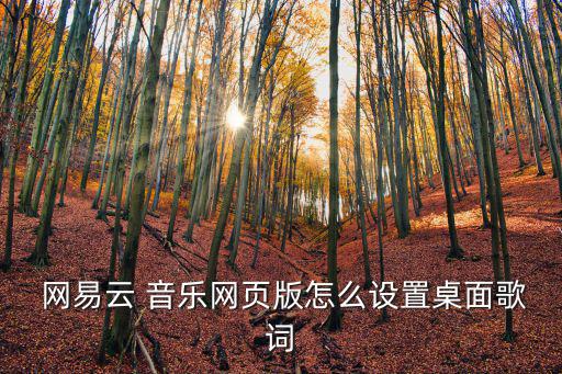  網易云 音樂網頁版怎么設置桌面歌詞