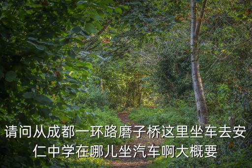 請問從成都一環路磨子橋這里坐車去安仁中學在哪兒坐汽車啊大概要