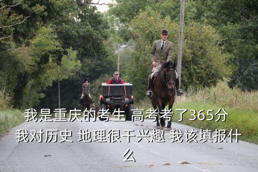 我是重慶的考生 高考考了365分 我對歷史 地理很干興趣 我該填報什么
