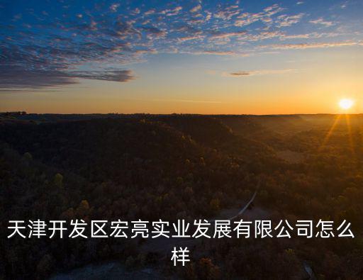天津開發區宏亮實業發展有限公司怎么樣