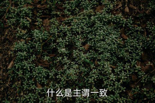 什么是主謂一致