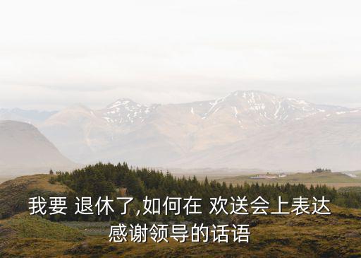 我要 退休了,如何在 歡送會上表達感謝領導的話語