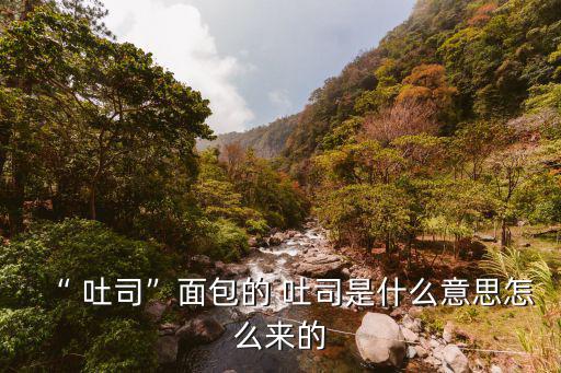 “ 吐司”面包的 吐司是什么意思怎么來的