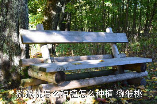  獼猴桃怎么種植怎么種植 獼猴桃