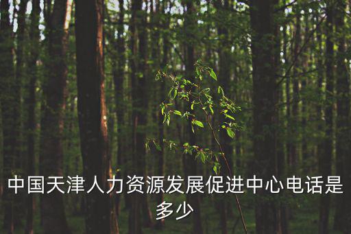 中國天津人力資源發展促進中心電話是多少
