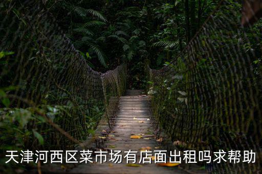 天津河西區菜市場有店面出租嗎求幫助