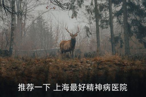 推薦一下 上海最好精神病醫(yī)院