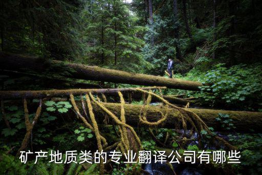 專業翻譯公司有哪些，專業的英語翻譯公司有哪些