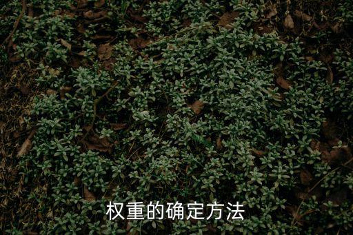 權(quán)重的確定方法