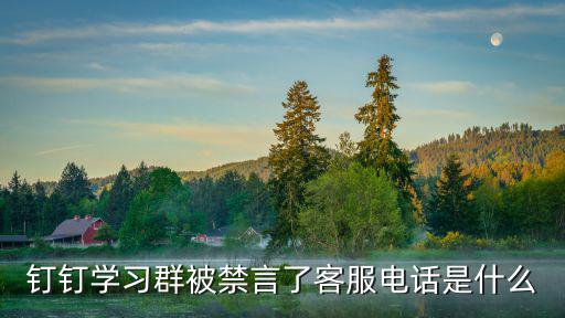 釘釘客服電話人工服務多少，釘釘學習群被禁言了客服電話是什么