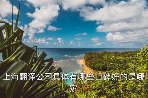 上海翻譯公司具體有哪些口碑好的是哪家