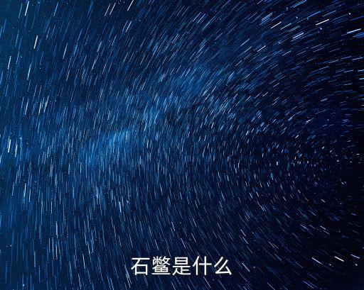 石鱉是什么