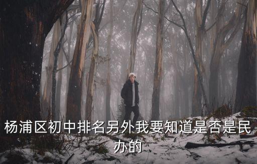 楊浦區初中排名另外我要知道是否是民辦的
