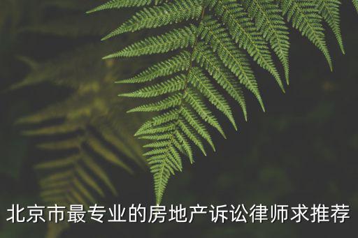北京市最專業(yè)的房地產(chǎn)訴訟律師求推薦