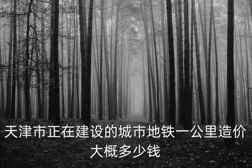 天津市正在建設的城市地鐵一公里造價大概多少錢