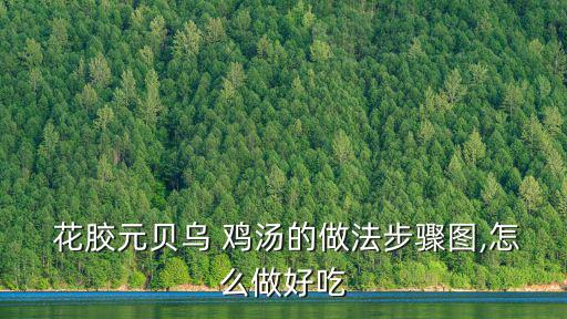  花膠元貝烏 雞湯的做法步驟圖,怎么做好吃