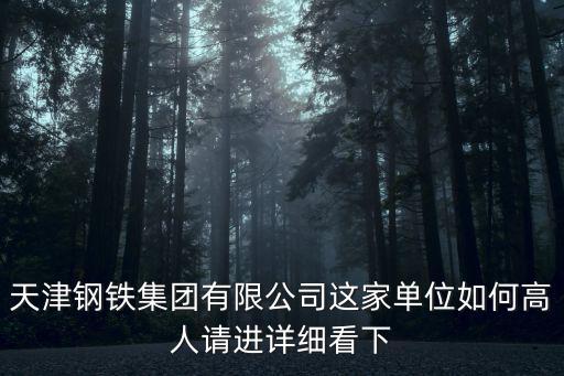 天津鋼鐵集團有限公司這家單位如何高人請進詳細看下