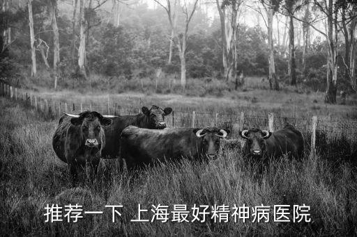 上海靜安精神衛生中心醫院，推薦一下 上海最好精神病醫院