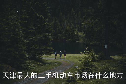 天津最大的二手機動車市場在什么地方