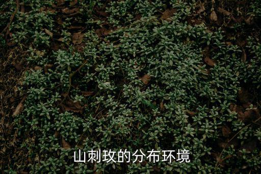  山刺玫的分布環(huán)境