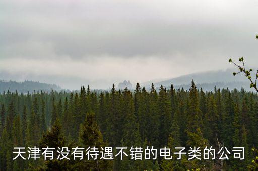 天津有沒有待遇不錯(cuò)的電子類的公司