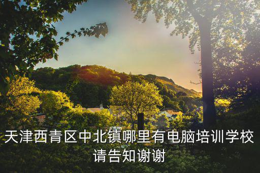 天津西青區中北鎮哪里有電腦培訓學校請告知謝謝