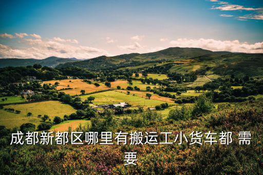 成都新都區哪里有搬運工小貨車都 需要