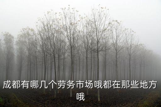 成都有哪幾個勞務(wù)市場哦都在那些地方哦