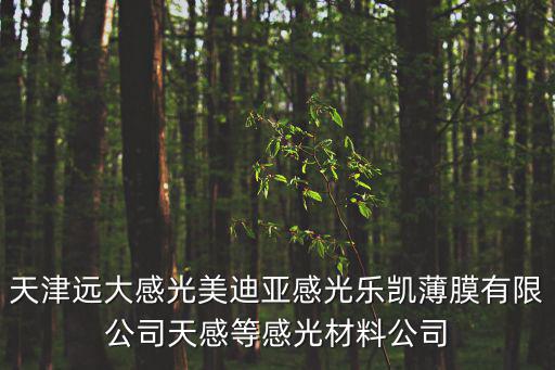 天津遠大感光美迪亞感光樂凱薄膜有限公司天感等感光材料公司