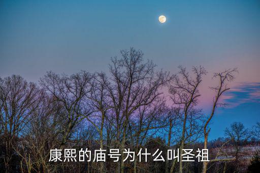 圣祖仁皇帝,白沙:危害人民生活的帝王永遠不會稱為圣賢仁義