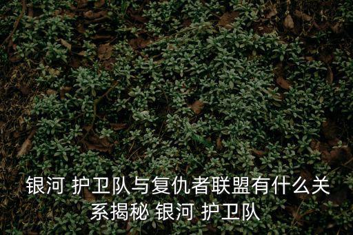 銀河護(hù)衛(wèi)隊(duì)成員,《復(fù)仇者聯(lián)盟》宇宙英雄銀河護(hù)衛(wèi)隊(duì)